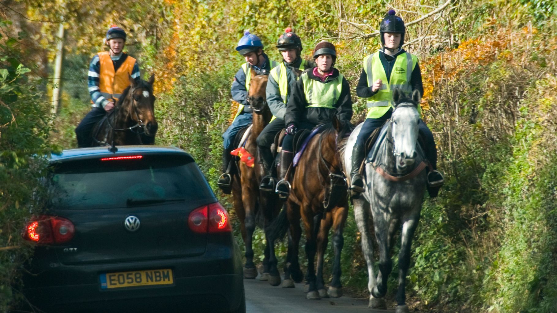 East Midlands sees rise in horse and vehicle road incidents